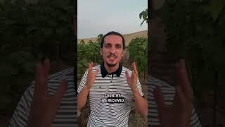 Web3Eco  - investment in Paulownia, tokenization of real assets, our story 