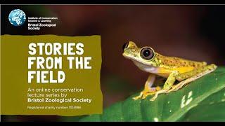 Stories from the Field: the search for lemur leaf frogs in Costa Rica