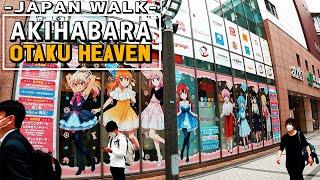 Akihabara Day Walk in Anime Otaku street,City Ambience,JAPAN WALK｜秋葉原 4K Night Walk in JAPAN