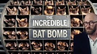 Bat Bombs: The Strangest Idea for Attacking Japan