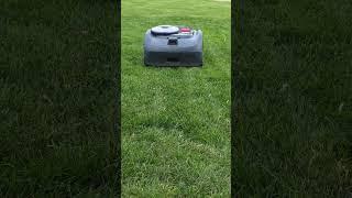 Segway Navimow mowing the lawn #dreamtrackai