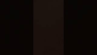 19 August 2024