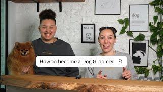 How to become a Dog Groomer