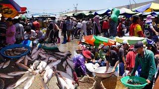 Kilo 9 Dry Fish Market in Cambodia - Plenty Dry Fish, Alive Fish, Seafood & More @ Fish Market