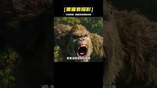 #黑貓君探 #犯罪 #電影解說 #動作 #驚悚