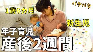 【出産後14日目】新生児＆1歳　年子育児のリアルな1日｜ルーティン24時間密着