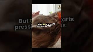 Nine Lives, One Controller: Cat Gamer Takeover! #joke #laugh #science