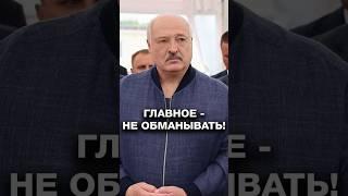 Лукашенко: Политика дала сегодня эффект! Главное – не обманывать! #shorts