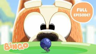 Bingo  FULL EPISODE | Bluey Series 2 | Bingo - Official Channel