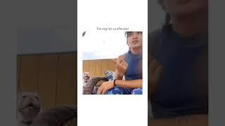 memes in low resolution v1