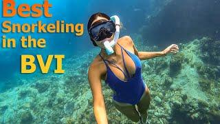 Best Snorkeling in the BVI - S7:E34