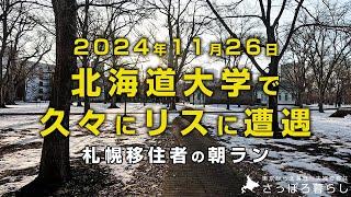 北海道大学で久しぶりにリスに遭遇しました｜札幌移住者の日常