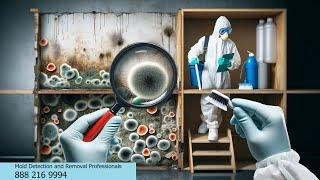 Flood Damage In NY? Expert Mold Detection & Removal Tips To Restore Your Home! | Home Harmony Group