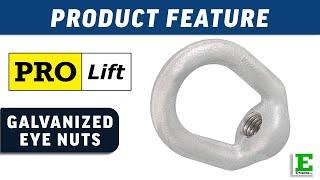 Pro Lift Hot Dipped Galvanized Eye Nut | E-Rigging Products