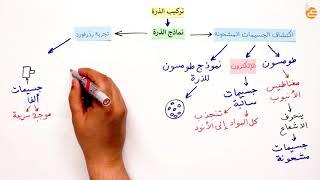 مراجعات عين | تركيب الذرة - ١