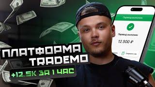 Обзор площадки TradeMo | Заработали 12.500 за час | Крутим Райф и Сбер в режиме реального времени