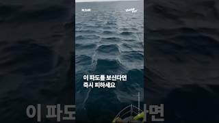 이 파도를 보신다면 즉시 물 밖으로 나가세요 [강남대로315]