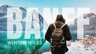 BEST Winter Hikes in Banff | Easy and Fun | Top 4