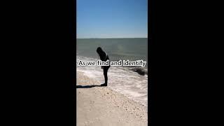Exploring Sanibel Island | Shelling Adventures & Hidden Beach Treasures