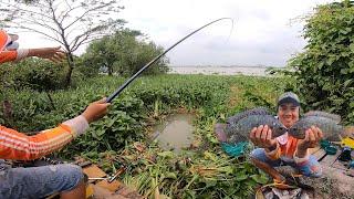 FISHING . TRÚNG BẦY CÁ PHI TO QUẤN Ổ GIẬT SƯỚNG TAY