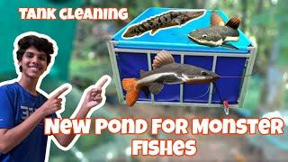 New 5ft Pond For Our Monster Fishes ️ * Tank cleaning  *