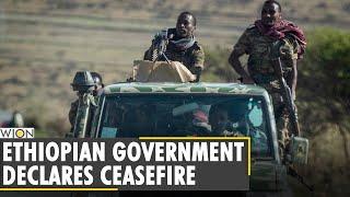 Ethiopian government declares unilateral ceasefire in Tigray region | World News | WION English News