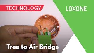 Tree to Air Bridge