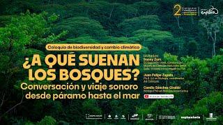 Viaje sonoro desde páramo hasta el mar | Coloquio de biodiversidad | Parque Explora