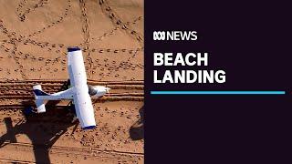 Young family survive emergency plane landing on Sydney beach | ABC News