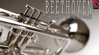 Beethoven: Symphony No. 5: Allegro (Excerpt)