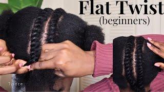 Learn exactly How To FLAT TWIST 4c Hair For Beginners