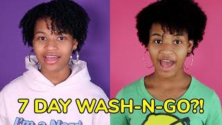 7 Day Wash-n-Go with tgin Hair Products  | LEMONERDY