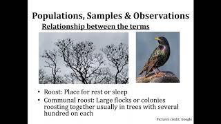 Measurement and Sampling Concepts