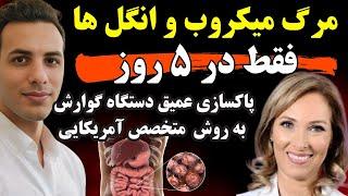 پاکسازی و سم زدایی معده و روده به روش خانگی که کسی نگفته| Dr Janine Bowing