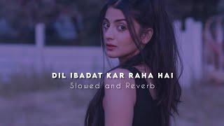 Dil ibadaat Kar Raha hai ~ Lofi ~ Slowed and Reverb ~ its Lofii Editz