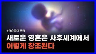 미국의 공인된 최면요법 박사가 연구한 영혼과 사후세계의 진실｜영혼들의 운명 1탄