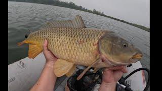 Bottom Bouncing for...Carp? - New Personal Best!