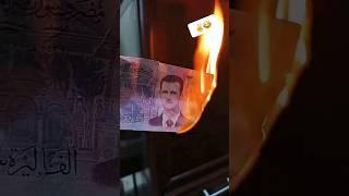 ساقط ساقط يا بشار  ... عاشت سوريا حره   ️
