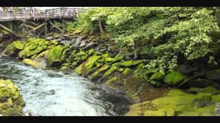 KETCHIKAN 3 FUNICULAR TRAM, PRINCESS CRUISE GOLDEN, TED FERRY, CREEK ST