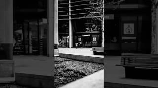 Urban Stillness #sony #sonya6700