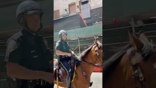 Animals Riding Horses In NYC