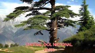 Chitral Gol National Park (2024) | چترال گول نیشنل پارک |