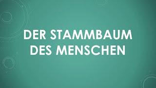 Der Stammbaum des Menschen einfach und kurz erklärt