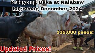 November 22, 2024 Presyo ng Baka at Kalabaw sa Padre Garcia Batangas Livestock Auction