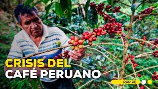 El café peruano enfrenta una crisis #ECONOMIAXTODOS | INFORME