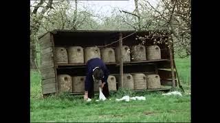 Skep Beekeeping Tasks Through The Year