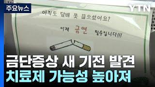 담배 금단증상, 도파민 탓만은 아냐...새 기전 발견 / YTN