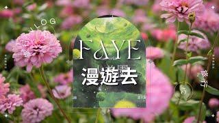 EP05【2022水美園當代植栽展】盛大展出｜観葉植物｜foliage plants｜植栽