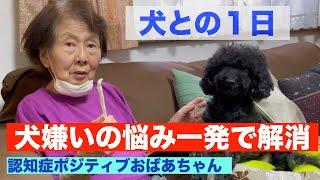 認知ショータイム/犬嫌いのおばあちゃんが犬と過ごす楽しいドキュメンタリー【おばあちゃん】