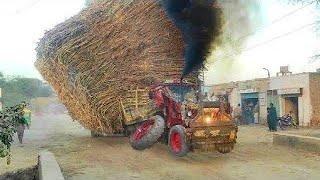 Great Tractors are pulling trailers in turns | Belarus Tractor are emitting a lot of smoke